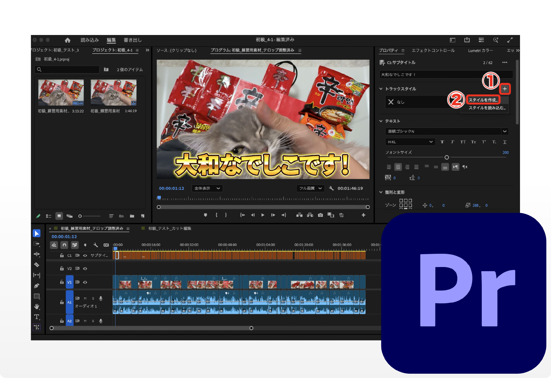 プロも使う本格ツール Premiere Pro