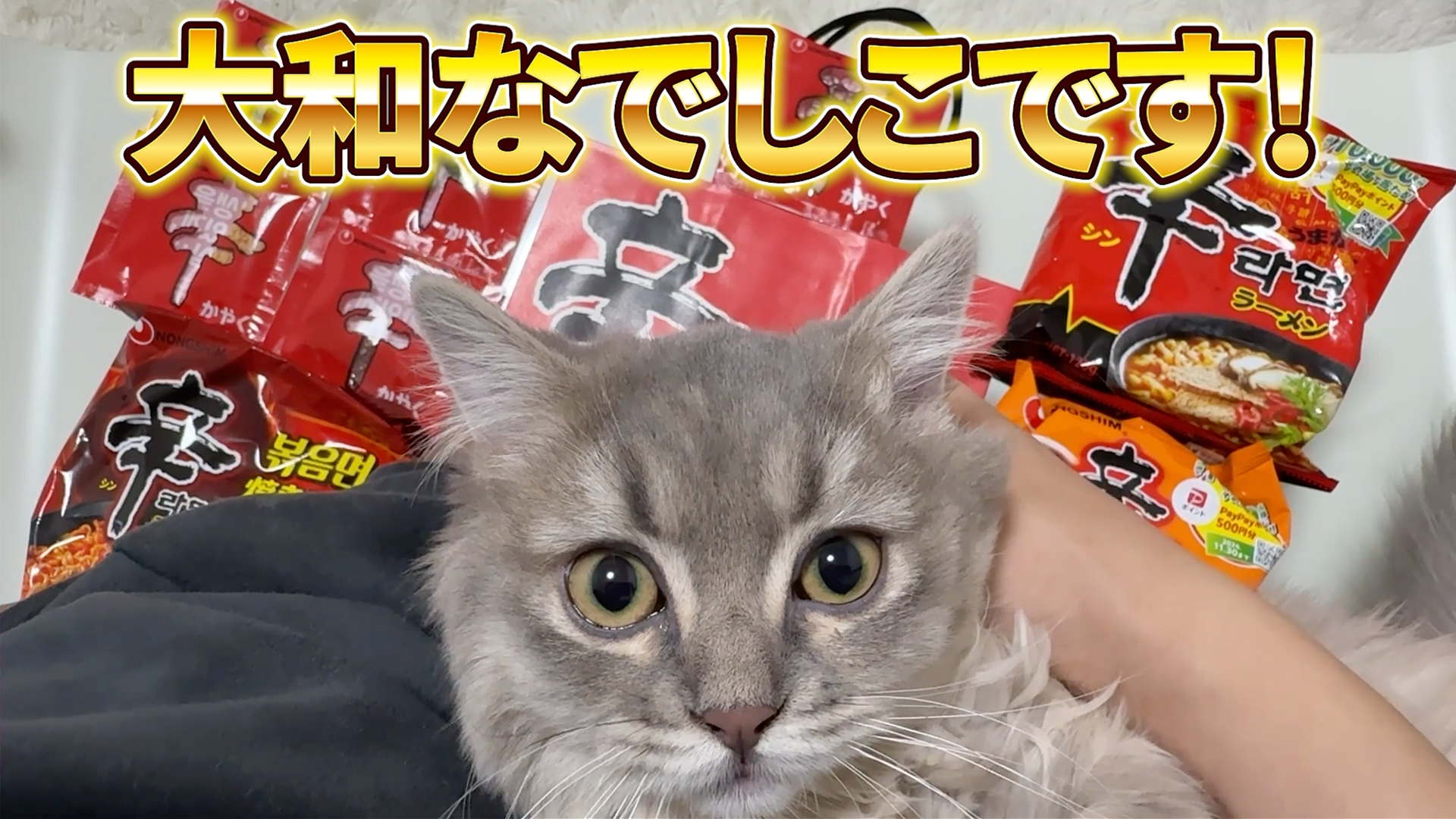 初級コース